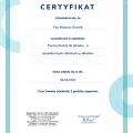Powiększ obraz: certificate 51