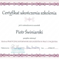 Powiększ obraz: certificate 8
