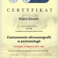 Powiększ obraz: certificate 23