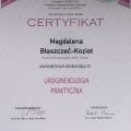 Powiększ obraz: certificate 2