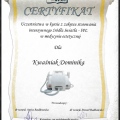 Powiększ obraz: certificate 25