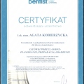 Powiększ obraz: certificate 2