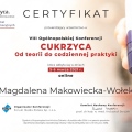 Powiększ obraz: certificate 1