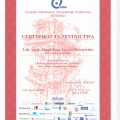Powiększ obraz: certificate 19