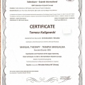 Powiększ obraz: certificate 19