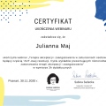 Powiększ obraz: certificate 8