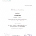 Powiększ obraz: certificate 5