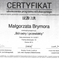 Powiększ obraz: certificate 3