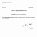 Powiększ obraz: certificate 3