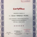 Powiększ obraz: certificate 3