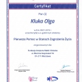 Powiększ obraz: certificate 3