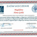 Powiększ obraz: certificate 40