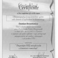 Powiększ obraz: certificate 16