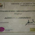 Powiększ obraz: certificate 4