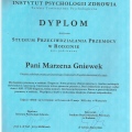 Powiększ obraz: certificate 1