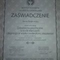 Powiększ obraz: certificate 26