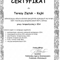 Powiększ obraz: certificate 3