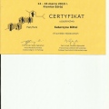 Powiększ obraz: certificate 8