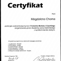 Powiększ obraz: certificate 11