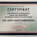 Powiększ obraz: certificate 10