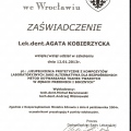 Powiększ obraz: certificate 9