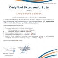 Powiększ obraz: certificate 11