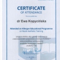 Powiększ obraz: certificate 6