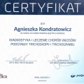 Powiększ obraz: certificate 5