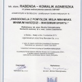 Powiększ obraz: certificate 6