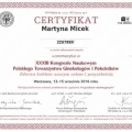 Powiększ obraz: certificate 10