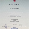 Powiększ obraz: certificate 11