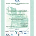 Powiększ obraz: certificate 9