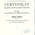 Powiększ obraz: certificate 1