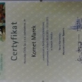 Powiększ obraz: certificate 3