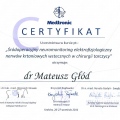 Powiększ obraz: certificate 7