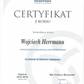 Powiększ obraz: certificate 4
