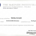 Powiększ obraz: certificate 4