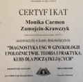 Powiększ obraz: certificate 2