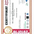 Powiększ obraz: certificate 23
