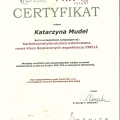 Powiększ obraz: certificate 3