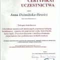 Powiększ obraz: certificate 4