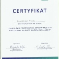 Powiększ obraz: certificate 16