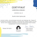 Powiększ obraz: certificate 29