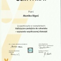 Powiększ obraz: certificate 43