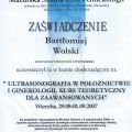Powiększ obraz: certificate 29