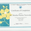 Powiększ obraz: certificate 10