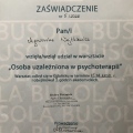 Powiększ obraz: certificate 4