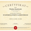 Powiększ obraz: certificate 46