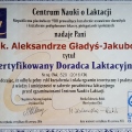 Powiększ obraz: certificate 1