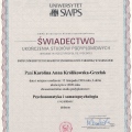 Powiększ obraz: certificate 2